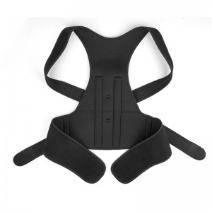 Duplex fortis Auxiliaris Support Bar Padded Posture Belt